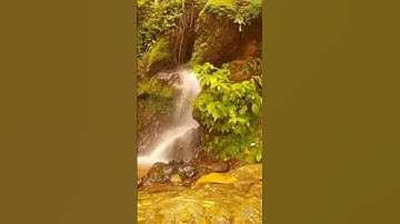 تلاوة خاشعة للشيخ ياسر الدوسري #قرآن #quran #viral #fyp #viralvideo #trending