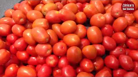 Ensuring Food Security in Nigeria