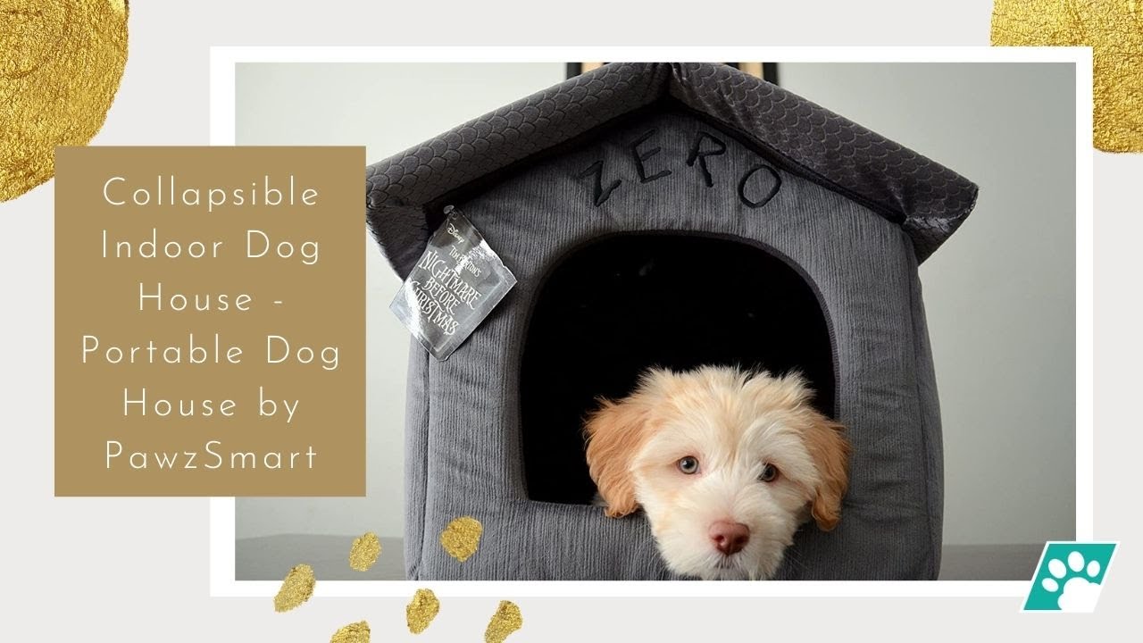 Зе дог хаус демо dog houses info