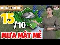 Dự Báo Thời Tiết Đêm Nay và Ngày Mai 15/10 | Thời Tiết Hôm Nay 3 Ngày Tới Mới Nhất