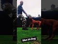man vs dog