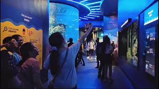 S.E.A Aquarium, Singapore. (Salah Satu Aquarium terbesar Dunia)