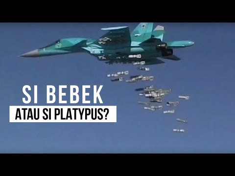 Video: Pesawat Su-34 legenda: spesifikasi