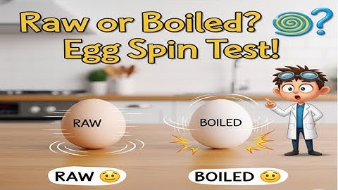 Kidz Science - Experiment 34: Egg Spin Test - Friction | Inertia