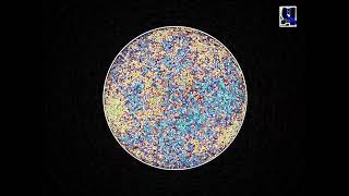 Ytp Ralr Ch Round 1 - 6 Neon