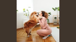 Harmony Aligns Tail Wags
