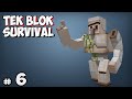 DEMİR FARMI ve YENİ SEVİYE - Bölüm 6 - Tek Blok Survival (One Block)