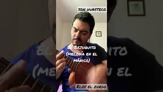 Eloy el zurdo | Bejuquito en mánico | son huasteco