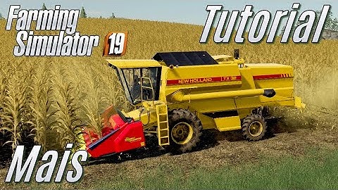 LS19: Tutorial:  Mais (Körnermais) - für Einsteiger