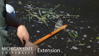 Celebrity Taking a Water Sample Profile