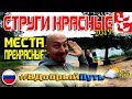 СТРУГИ-КРАСНЫЕ МЕСТА ПРЕКРАСНЫЕ. ДАЧНЫЙ ВЛОГ 2019