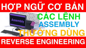 Những Lệnh Hợp Ngữ Thường Dùng | Assembly Basic