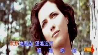 苏联歌曲 《鹤群》 "Журавли" - 中文版