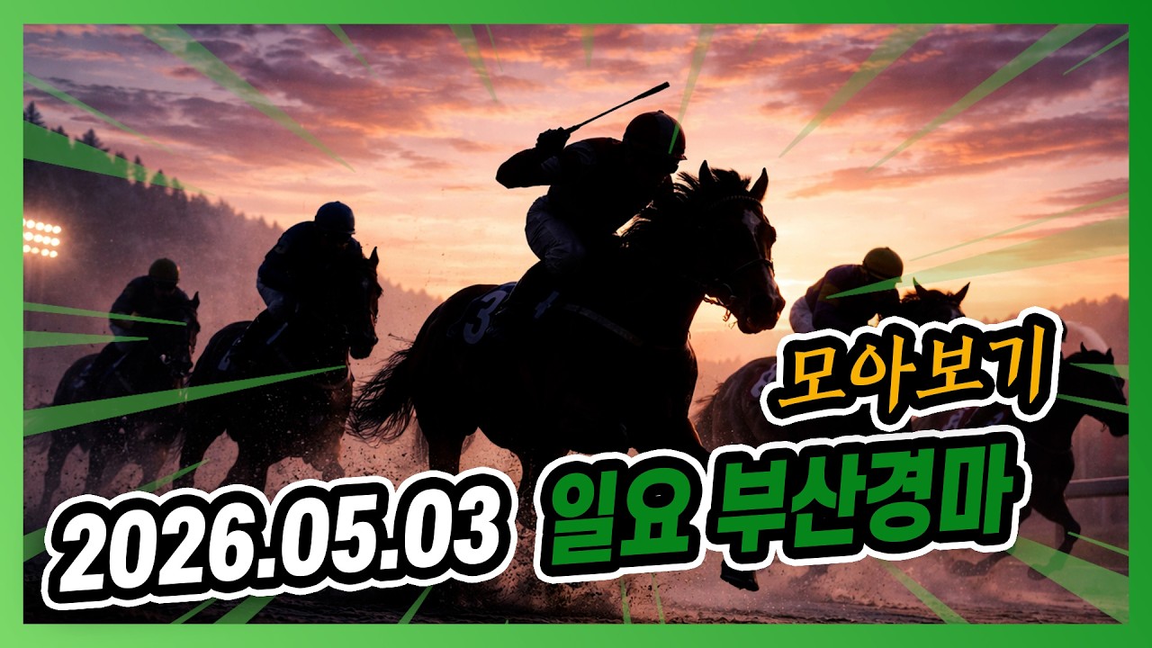 2026년 5월 3일 일요 부산경마 전체경주 모아보기