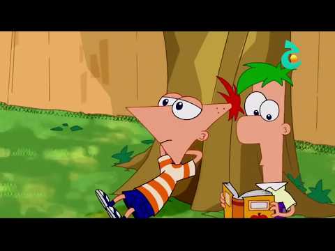 فينس و فيرب موضوع العربية 