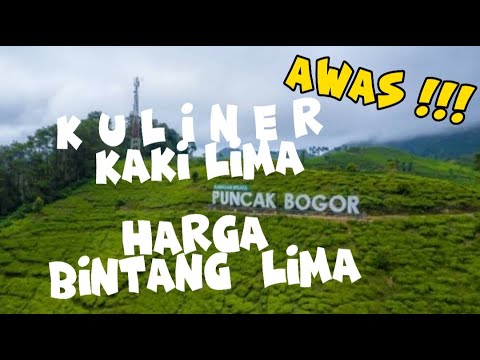 Video: Siapa yang membeli makanan puncak?