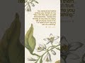 Today’s verse1/9/26 Lord help me to stay rooted in You, and prune me to be more like You #leadmeLord