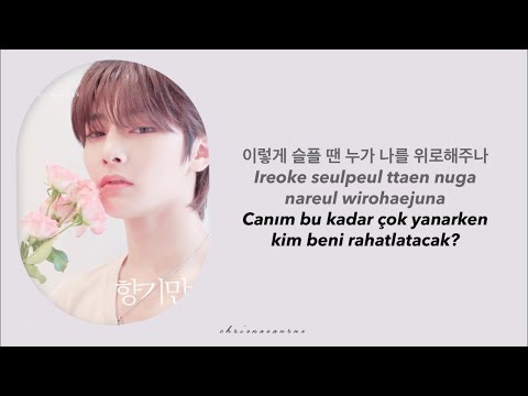 I N Memory Of Your Scent Türkçe Çeviri