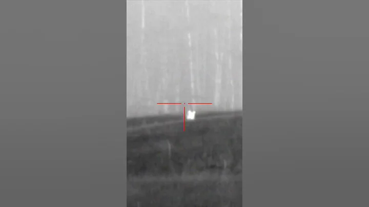 2 coyotes come into fox pro X-Wave