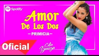 Video thumbnail of "DELEITES ANDINOS - AMOR DE LOS DOS  |  Audio Oficial"