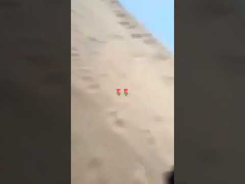 يالغالي على هونك من يغليك بيصونك سلطان البريكي