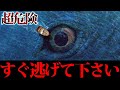 【衝撃】謎の危険生物SCPの生態がヤバすぎてツッコミどころ満載だったwwwww#22【SCP】【都市伝説】【なろ屋】【ツッコミ】