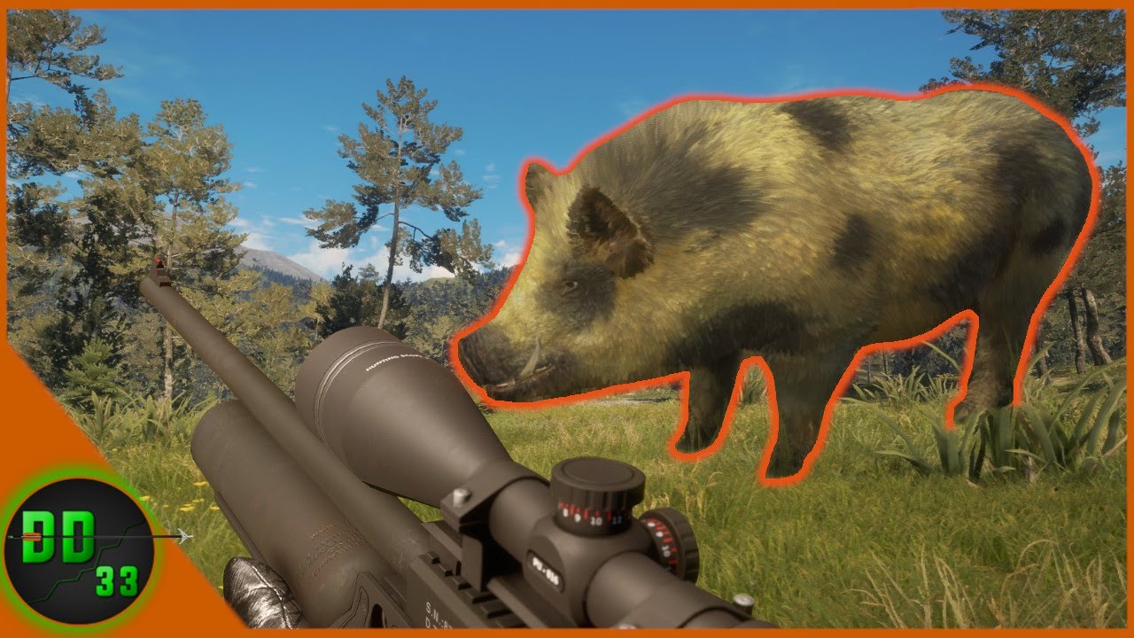 My Biggest Feral Hog Ever Call Of The Wild YouTube my-biggest-feral-hog-ever-call-of-the-wild-youtube