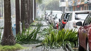 Live: Latest as Typhoon Wipha hits S China