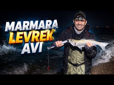 Marmara’da Gece Levrek Avı! Spin ile Kıyıdan Levrek Aldık