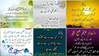 true lines about Life/true lines about love 💕/true lines status/true lines for whatsapp status screenshot 4