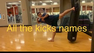 Names of all kickboxing kicks