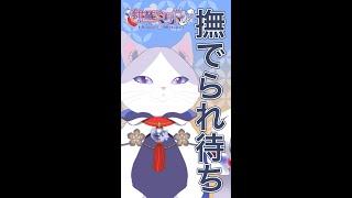 絣華ミタマの配信のサムネイル画像