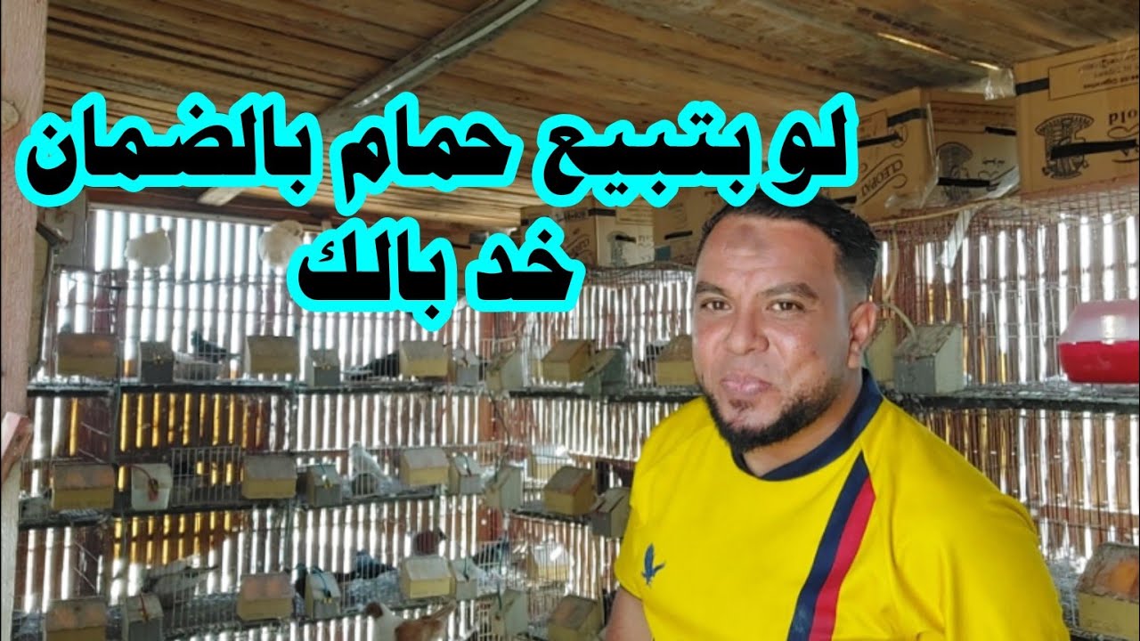 خد بالك وأنت بتبيع حمام شغال بالضمان هيحصل معاك موقف غريب لازم تحرص منه