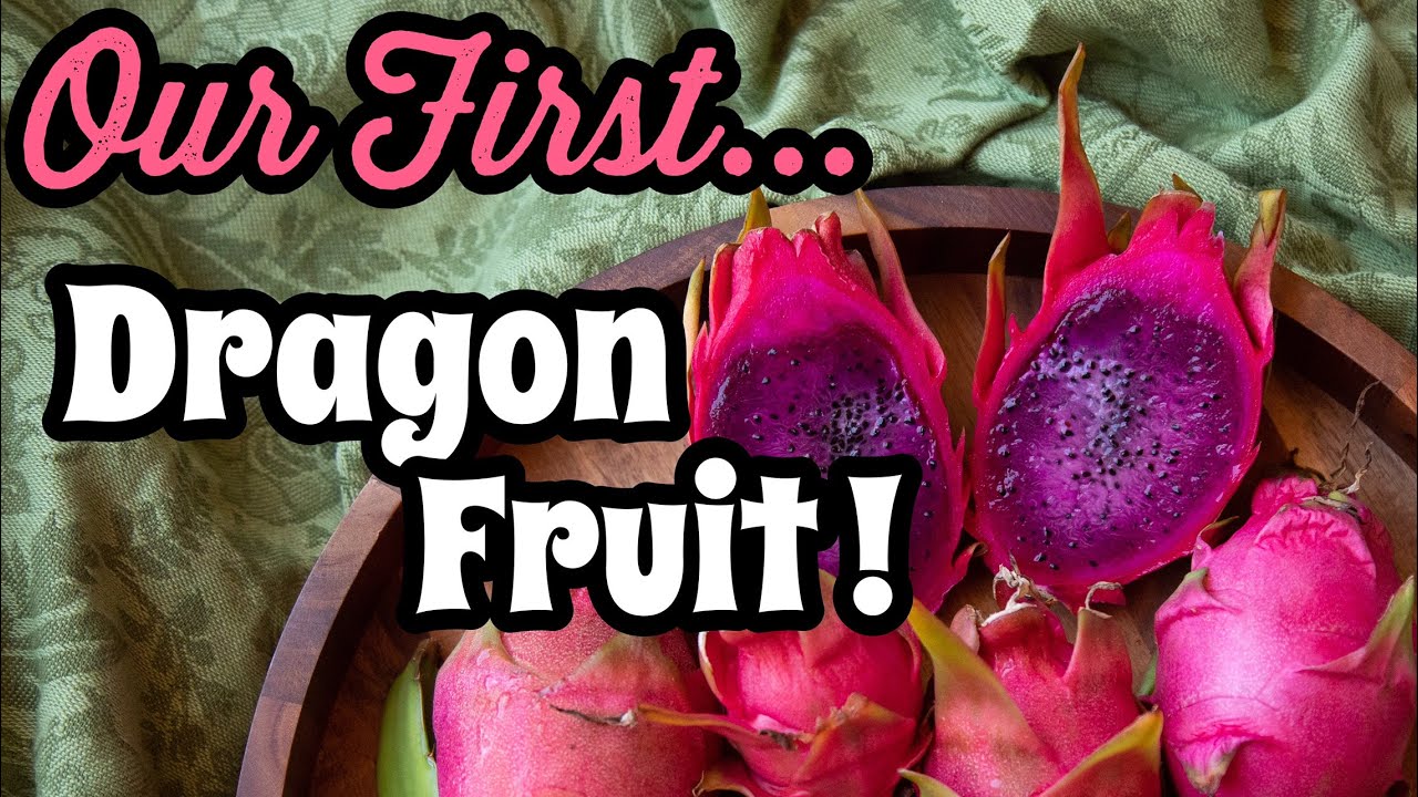 ur first ever dragon fruit