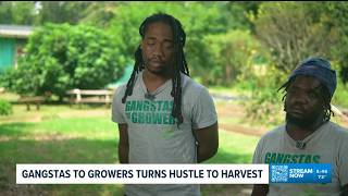 From Gangstas to Growers: Atlanta program turns farming into a path to opportunity