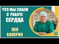 Лео Бокерия | Что мы знаем о работе сердца. Можно ли  управлять сердцем?