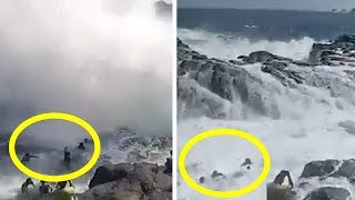 Tribun-video.com - dalam beberapa hari terakhir, pesisir selatan diy
diterjang gelombang tinggi. akibatnya sejumlah bangunan milik warga
yang berada di tepi ...