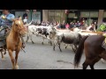 SA Rodeo Parade 2017