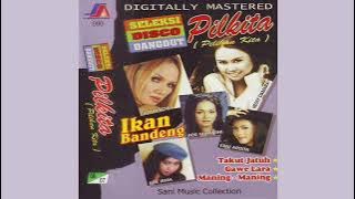 Ade Irma - Berkelana