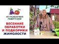 ВЕСЕННИЕ ОБРАБОТКИ И ПОДКОРМКИ ЖИМОЛОСТИ