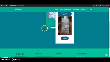 Iteration 2 Food Allergy Testing #1