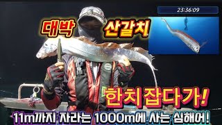 한치 갈치 이카메탈 출조! 선사: 흥부낚시 #한치 #갈치 #통영 #오리온호 #오징어 #산갈치 #이카메탈 #한치낚시 #갈치낚시 #흥부낚시 @BeeYack_fishing @부남대여tv