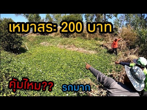 เหมาสระเล็กๆ 200฿ เห็นเงียบๆแบบนี้เขาว่าปลาเยอะ จะจริงไหม ??