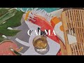 "Calma" - J Balvin x Maluma Type Beat