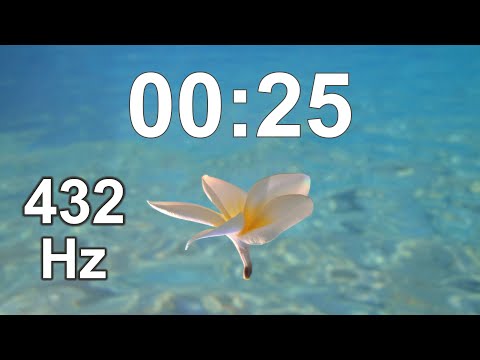 25 Second Timer - Countdown - Clock Timer