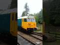 A very wet class 50 at the dean forest railway diesel gala #train #trainspotting #diesel #class50