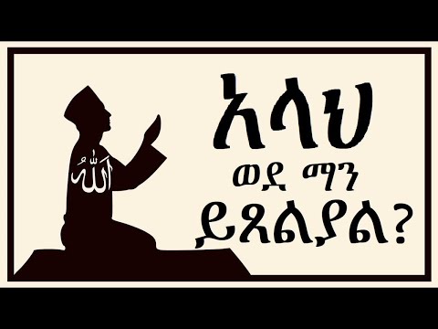 ቪዲዮ: መሃላዎች በቤት ውስጥ አበባዎች ውስጥ ከተጎዱ ምን ማድረግ እንዳለብዎ