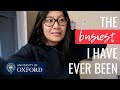 NEVER BEEN SO BUSY!!! - A WEEK IN THE LIFE OF A THIRD YEAR | viola helen