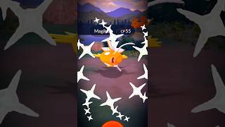 Hunting Rare Shinies in Pokémon GO | Best Shiny Luck Ever #games #pokemongo
