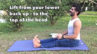Dandasana - Staff Pose - Yoga Deep